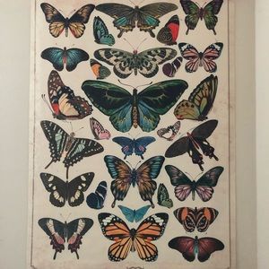 Butterfly 🦋 wall decor canvas